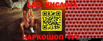 шишки Моздок